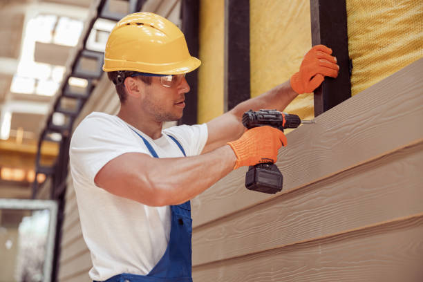 Best Siding Painting and Refinishing  in Freeland, MI